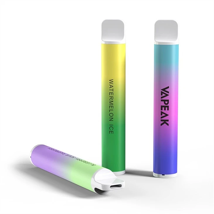 Disposable Vapes Bars 600 Puffs